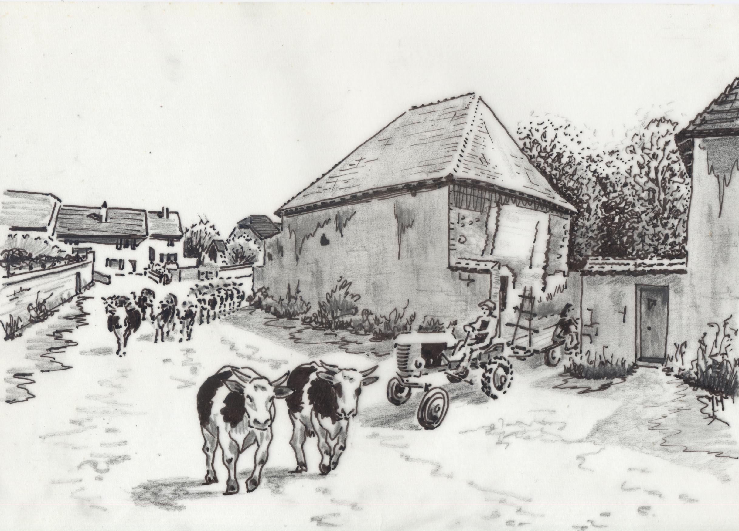  France village rue vaches attelage tracteur Fédry 1960 famille De-Vregille Fédry 10 croq Chez de Vreugille.jpg